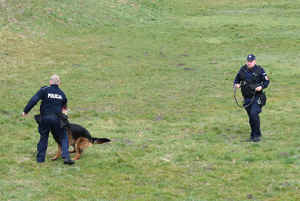 Dwóch policjantów i pies policyjny służbowy