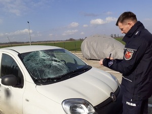 fiat po potrąceniu 13 - latka